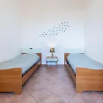 Guesthost - Beda House